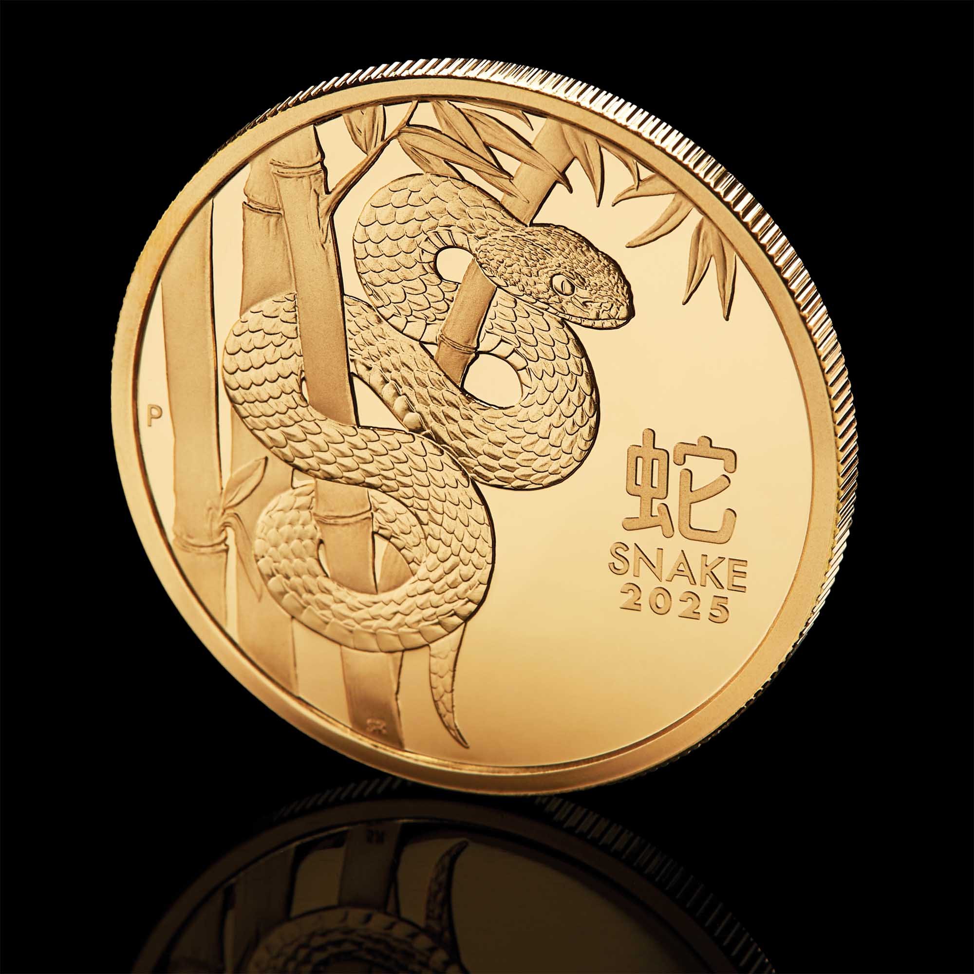 2025 Perth Mint Lunar Snake 1oz Gold Proof Coin