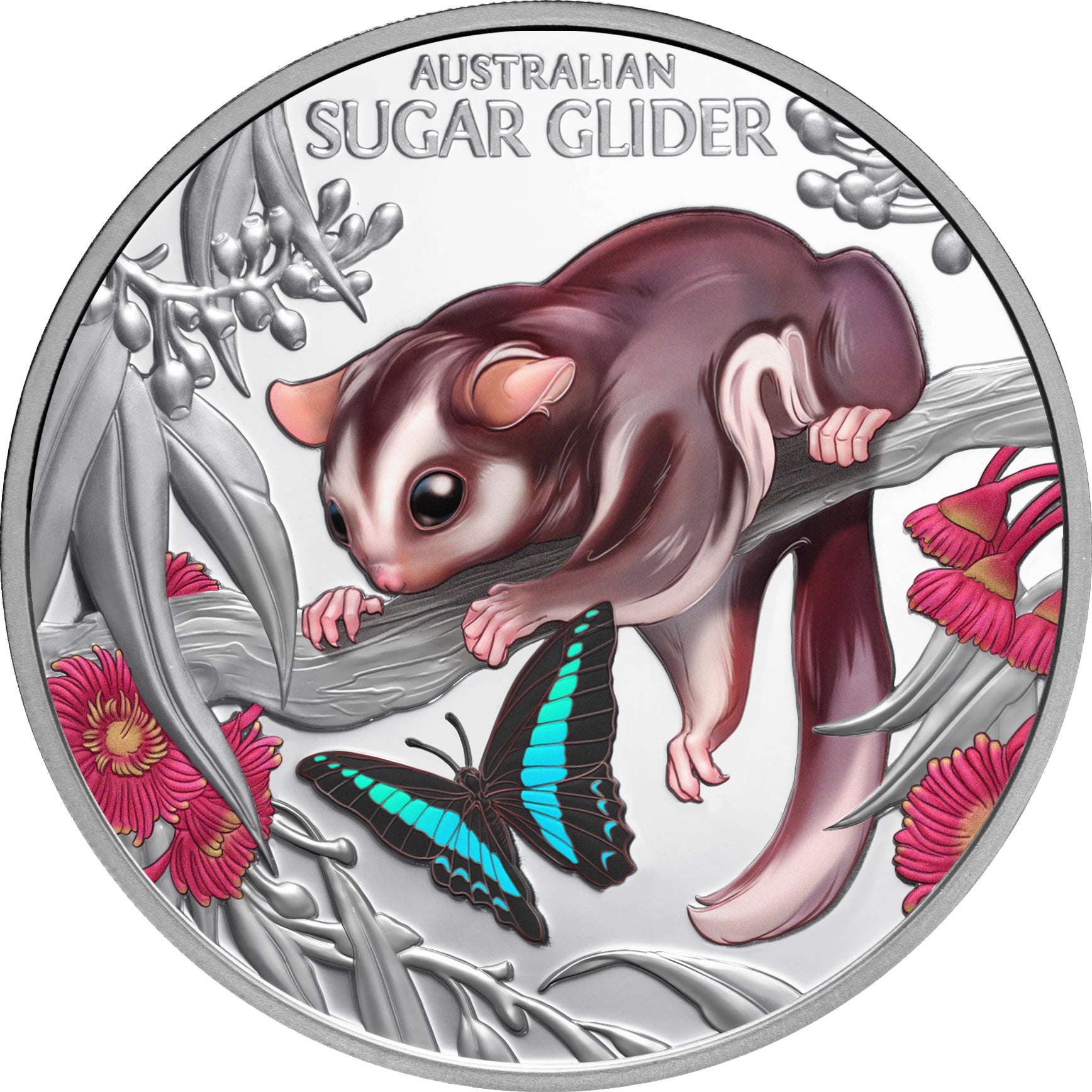 2026 Niue Baby Sugar Glider 1oz Silver Coloured Proof Coin
