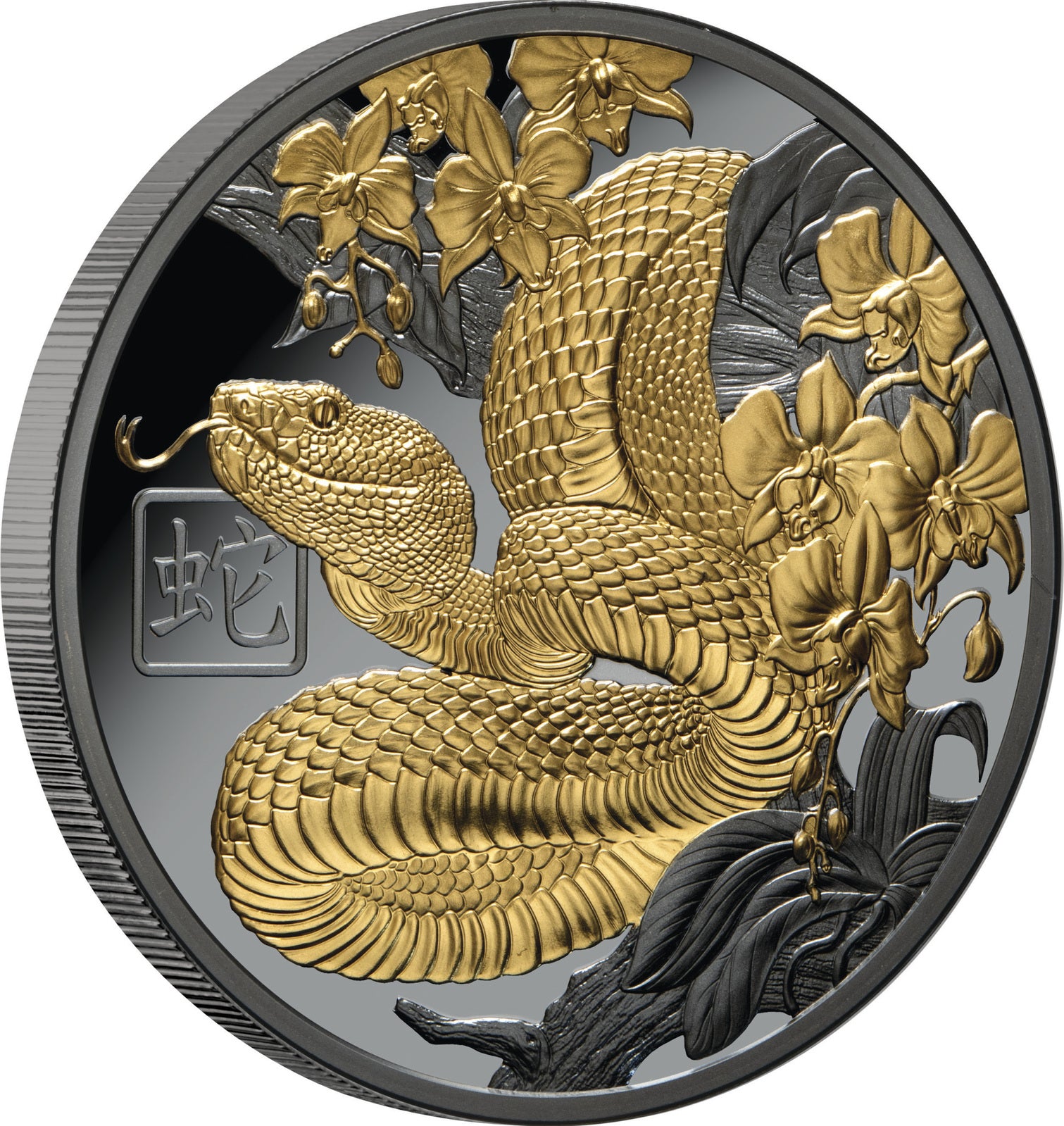 2025 Lunar Year of the Snake $1 Gold-plated 1oz Silver Black Proof Coin
