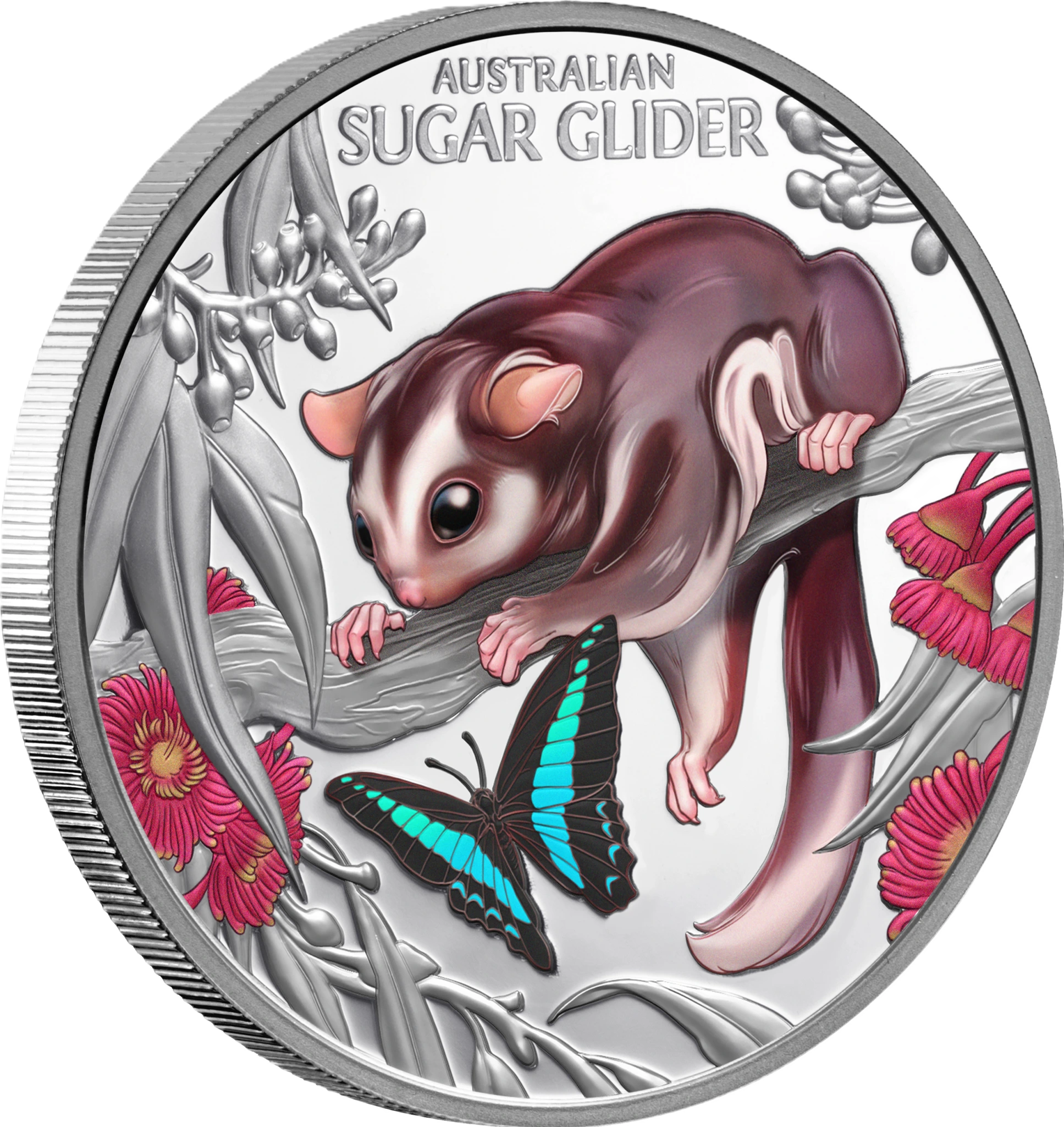 2026 Niue Baby Sugar Glider 1oz Silver Coloured Proof Coin