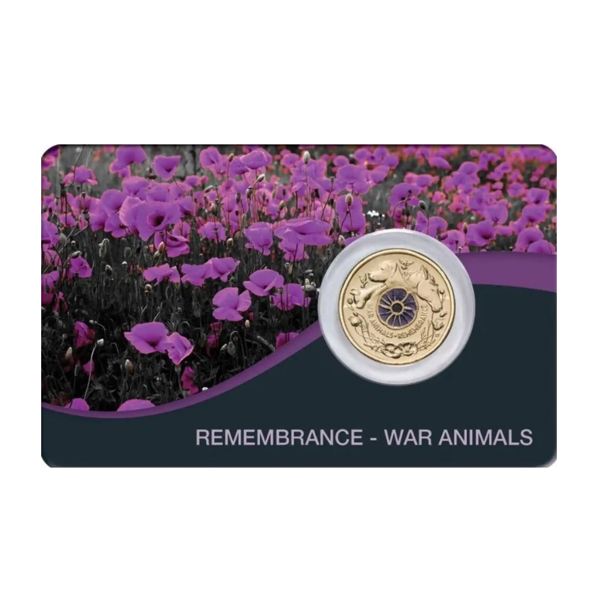 2024 Australia Remembrance Day War Animals$2 Al-Br Colour Uncirculated Coin Pack