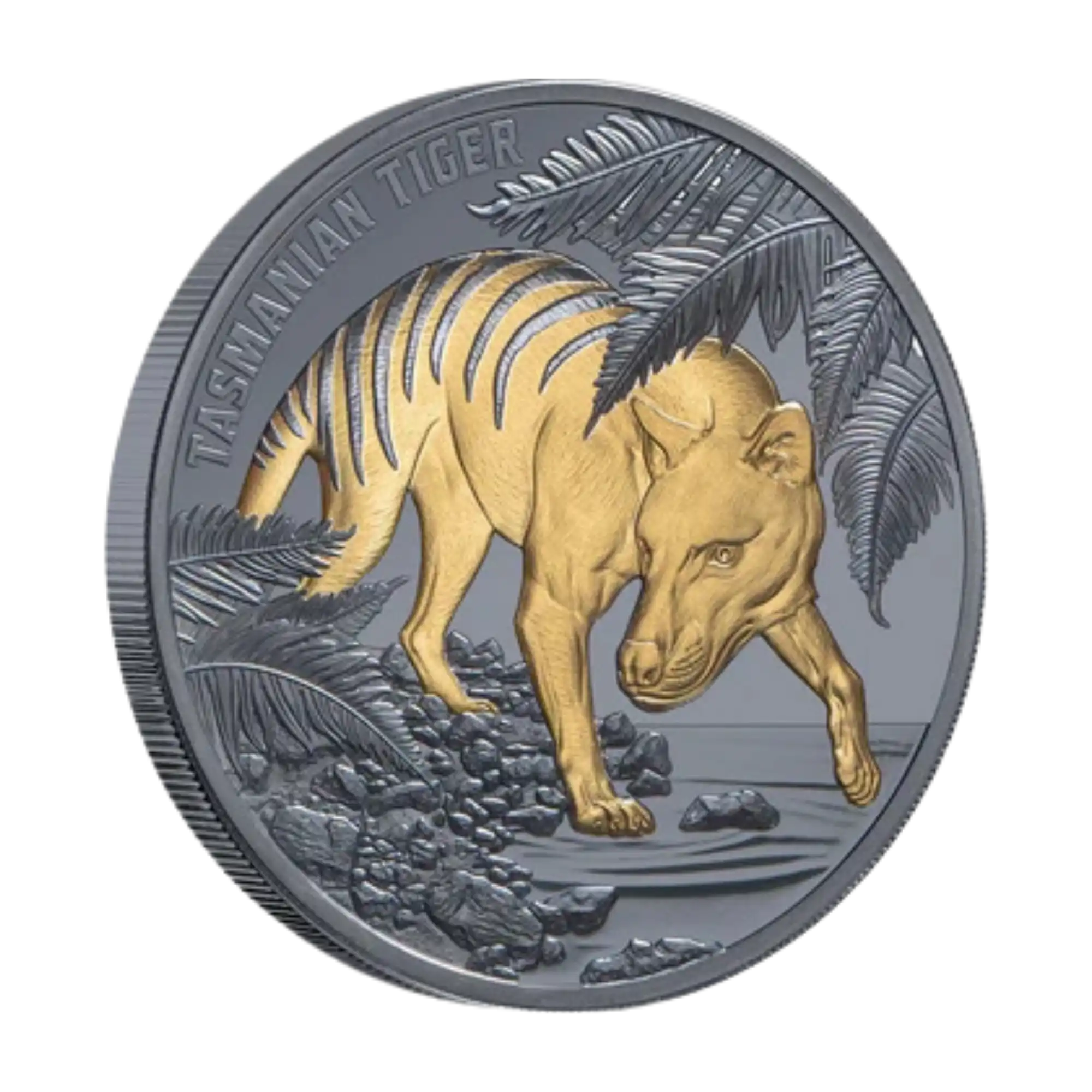 2026 Niue Tasmanian Tiger Gold-Plated 1oz Silver Black Proof Coin