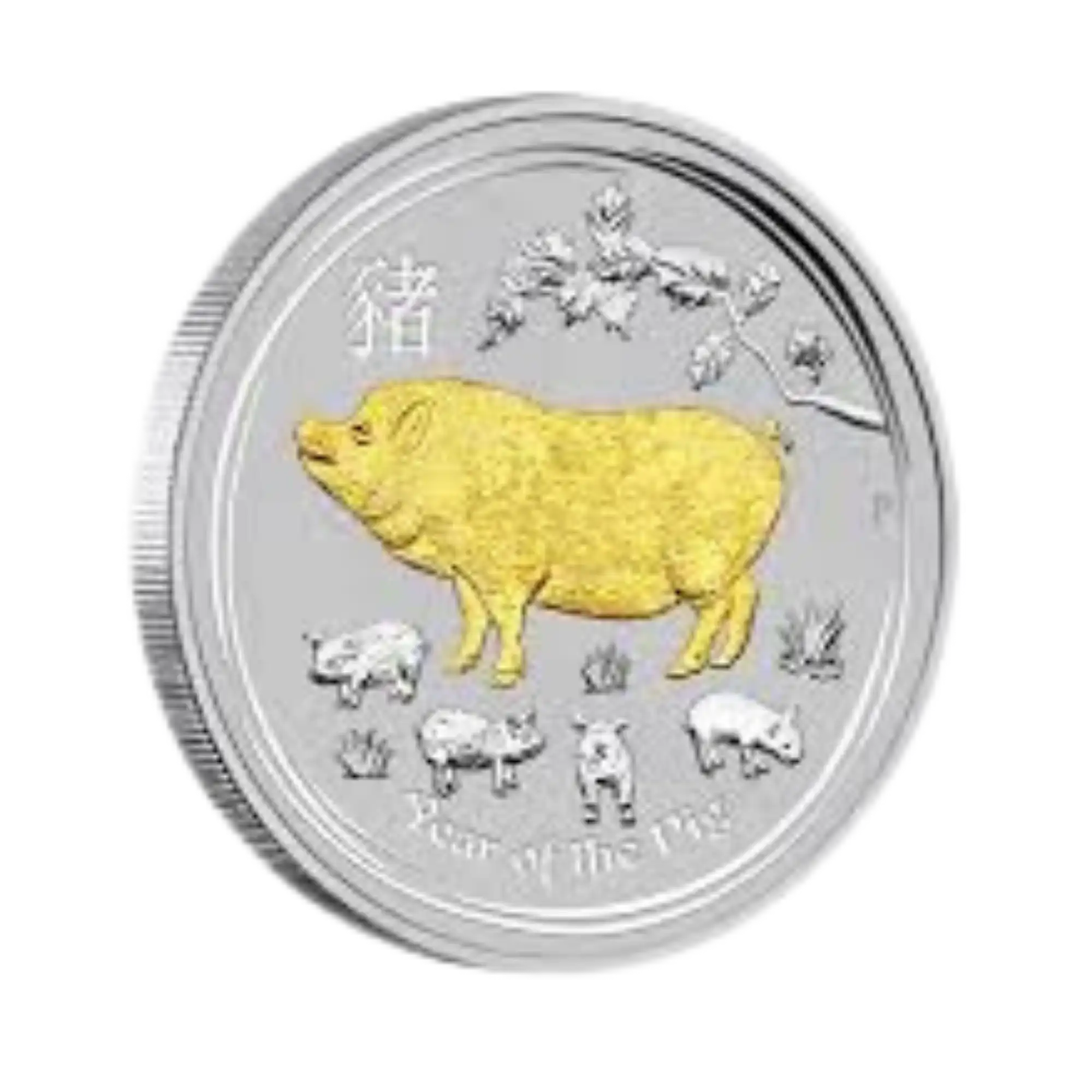 2019 Perth Mint Lunar Pig 1oz Silver Gilded Coin