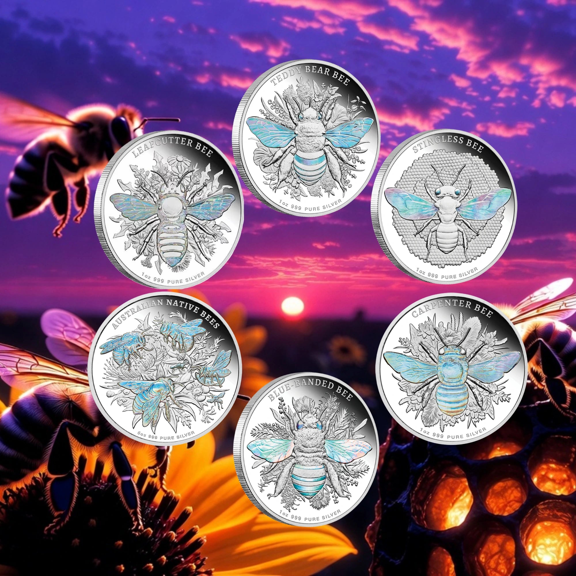 2025–2026 Niue Native Bees 1oz & 5oz Silver Proof Hologram 6-Coin Collection