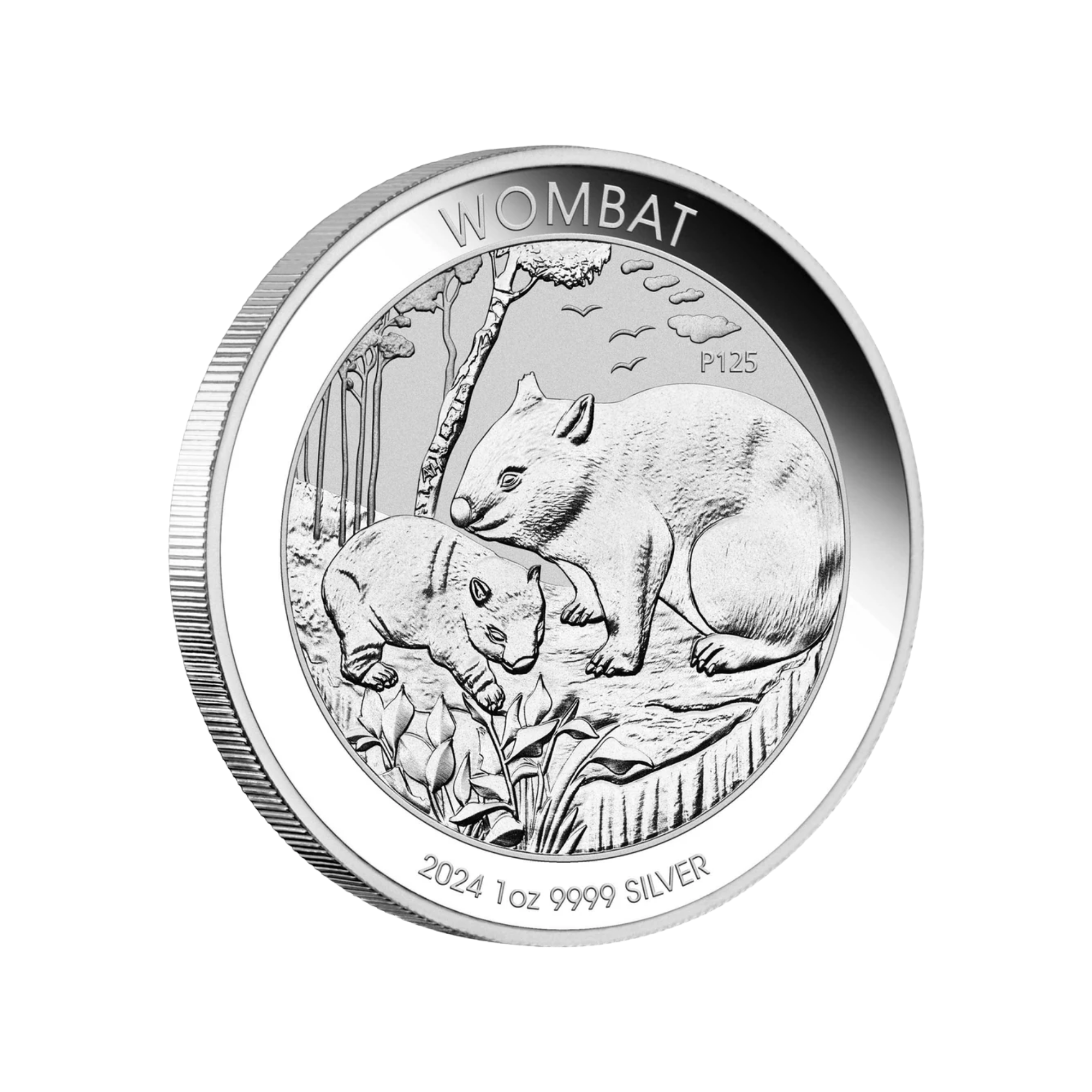 2024 Perth Mint Australian Wombat 1oz Silver Bullion Coin