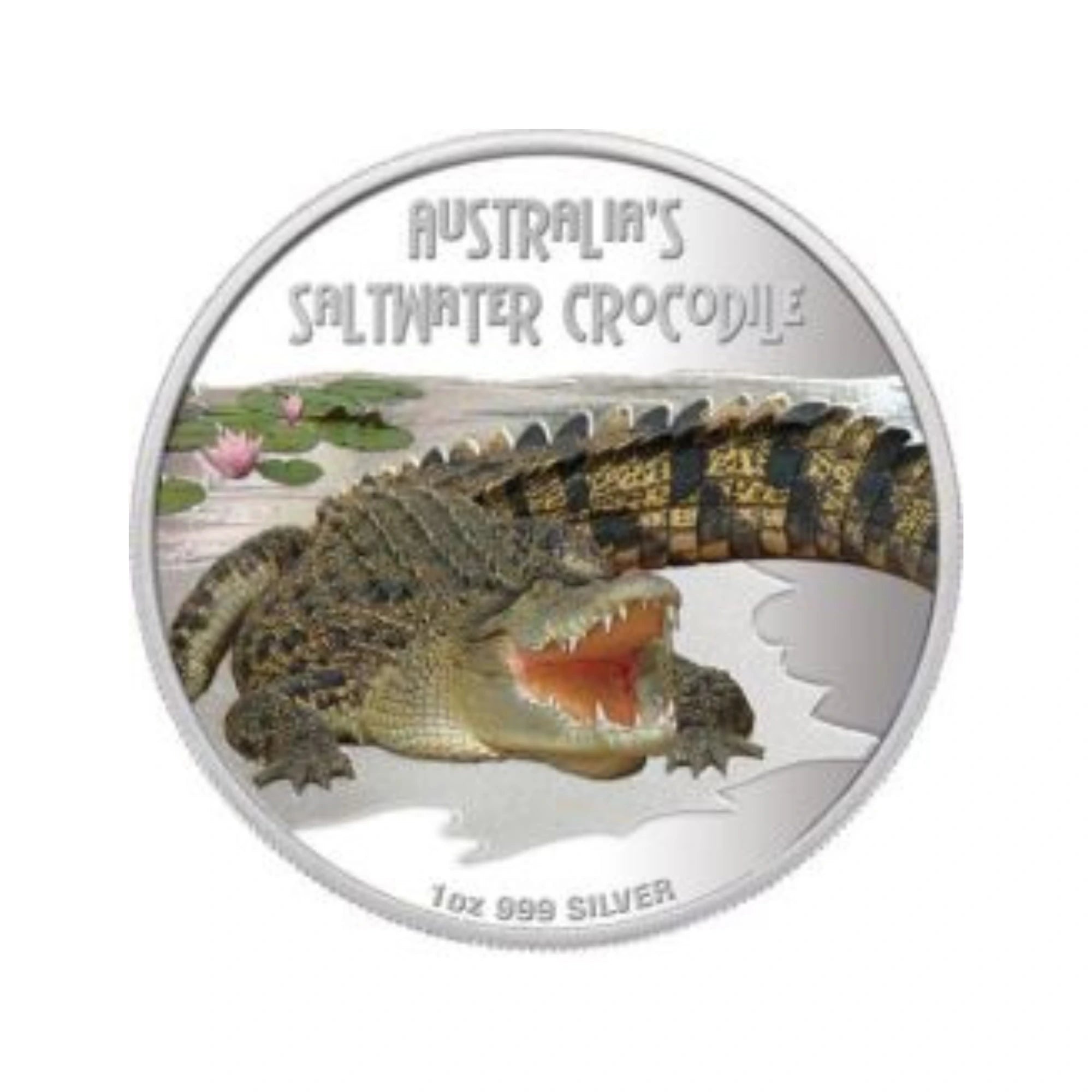 2009 Perth Mint D&D Saltwater Crocodile 1oz Silver Coloured Coin