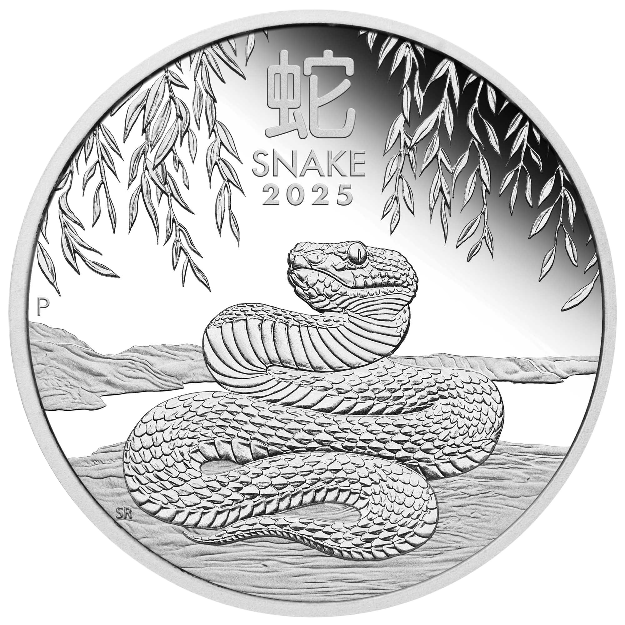 2025 Perth Mint Lunar Snake 1/2oz Silver Proof Coin