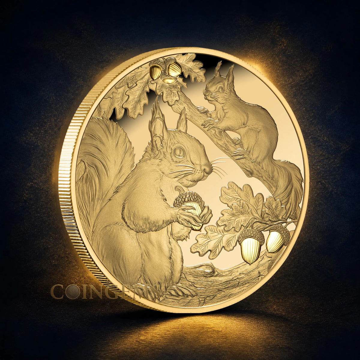 2026 Niue Squirrels 1oz Gold Proof Coin