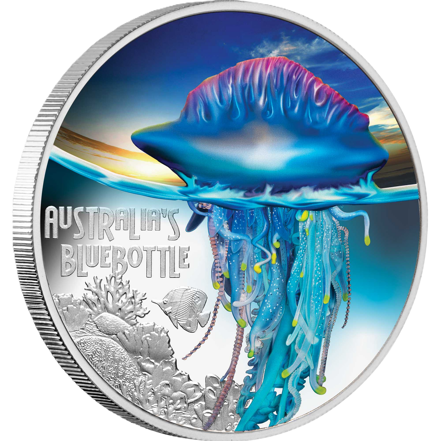 2024 Tuvalu Deadly & Dangerous Australia’s Bluebottle 1oz Silver Proof Coloured Coin