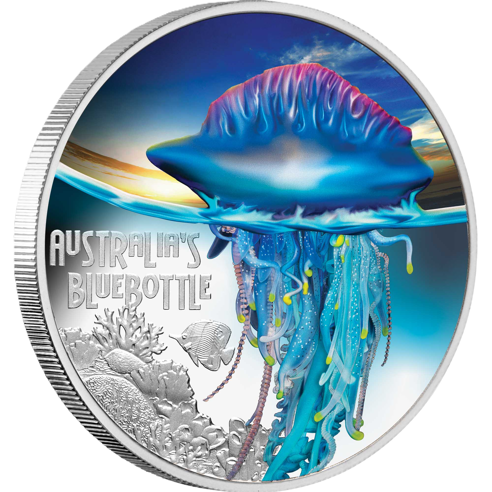 2024 Perth Mint Deadly & Dangerous Bluebottle 1oz Silver Proof Coloured CoinCoin