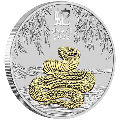 2025 Perth Mint Lunar Snake 1oz Silver Trio Set
