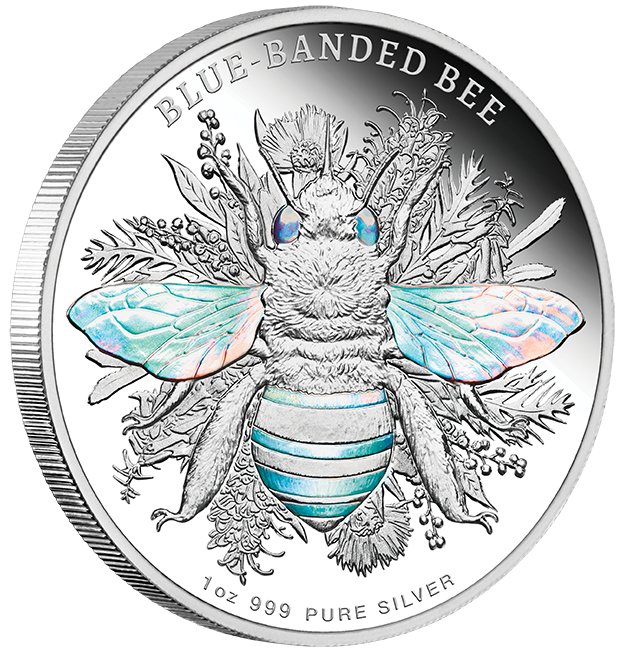 2025–2026 Niue Native Bees 1oz & 5oz Silver Proof Hologram 6-Coin Collection