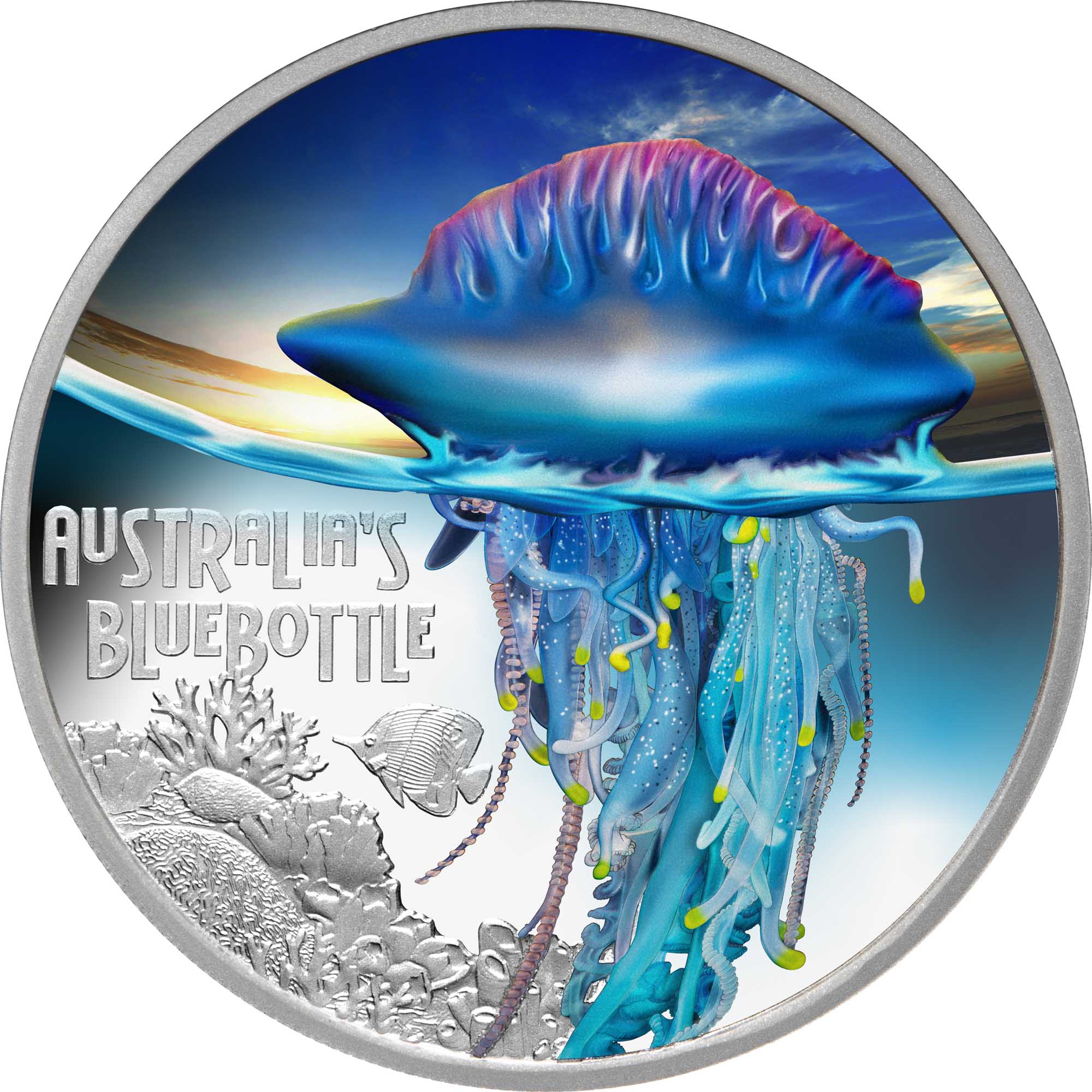 2024 Perth Mint Deadly & Dangerous Bluebottle 1oz Silver Proof Coloured CoinCoin