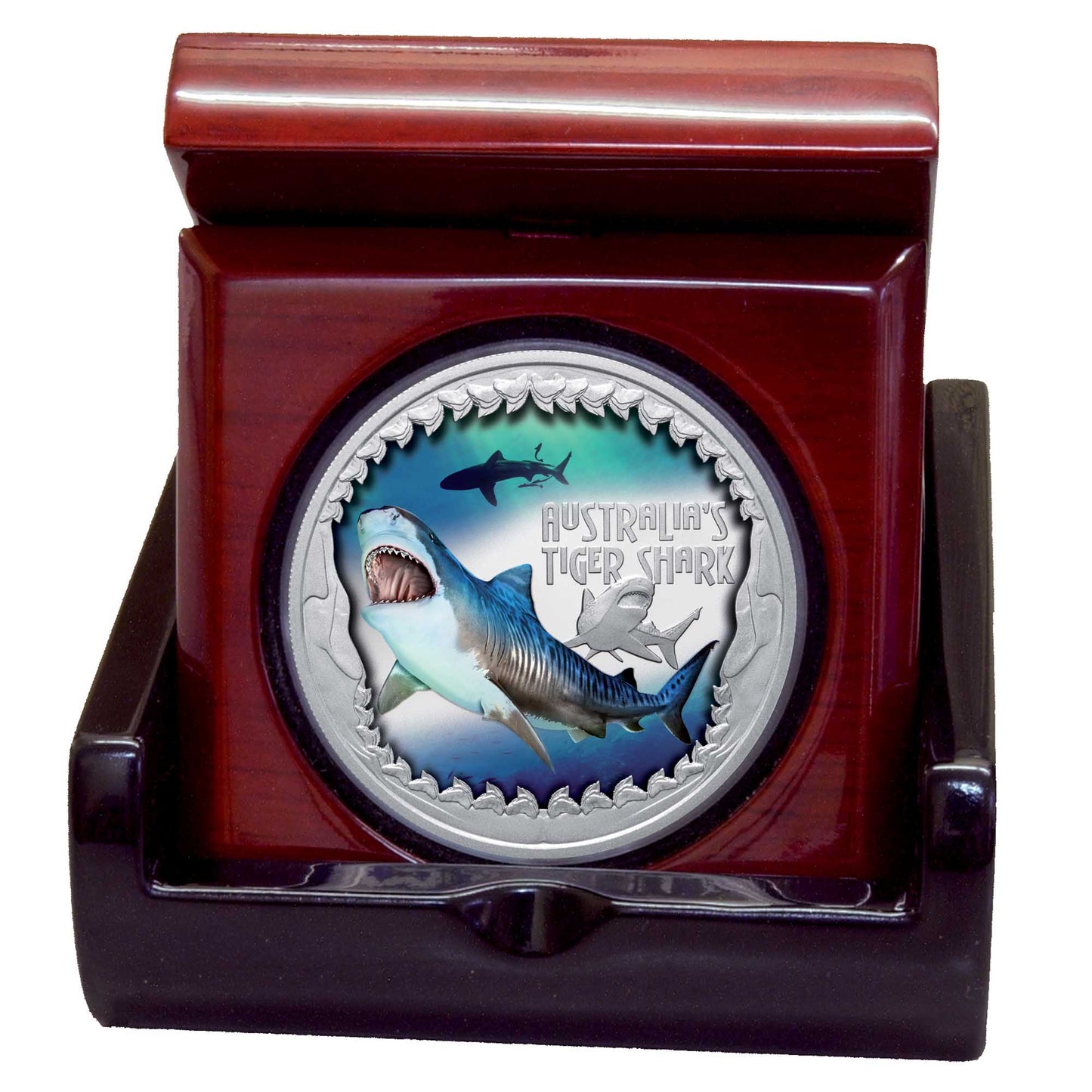 2023 Deadly & Dangerous Tiger Shark 1oz silver proof coloured coin
