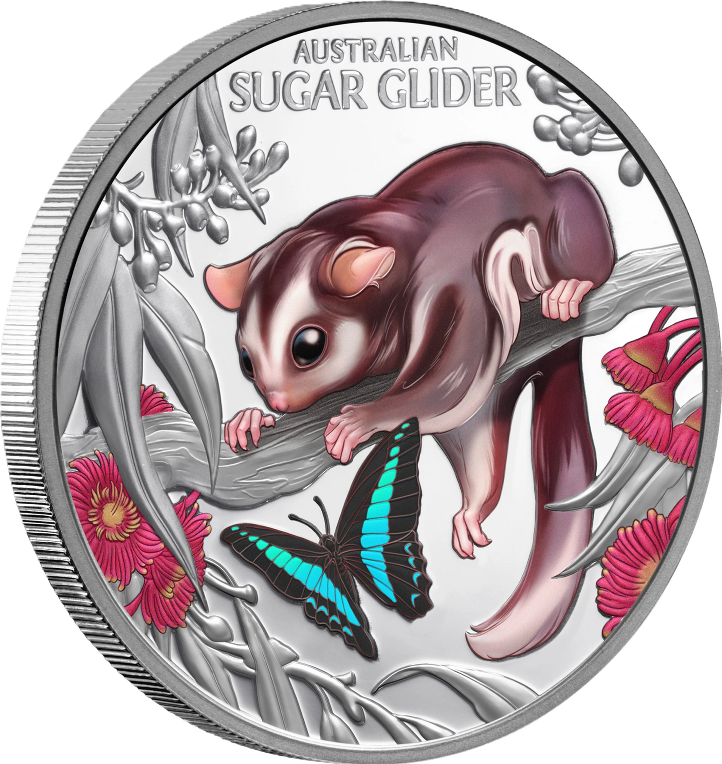 2026 Niue Baby Sugar Glider 1oz Silver  Coloured Proof Coin