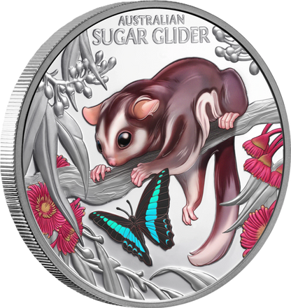 2026 Niue Baby Sugar Glider 1oz Silver  Coloured Proof Coin