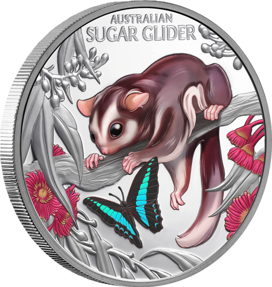 2026 Niue Baby Sugar Glider 1oz Silver  Coloured Proof Coin