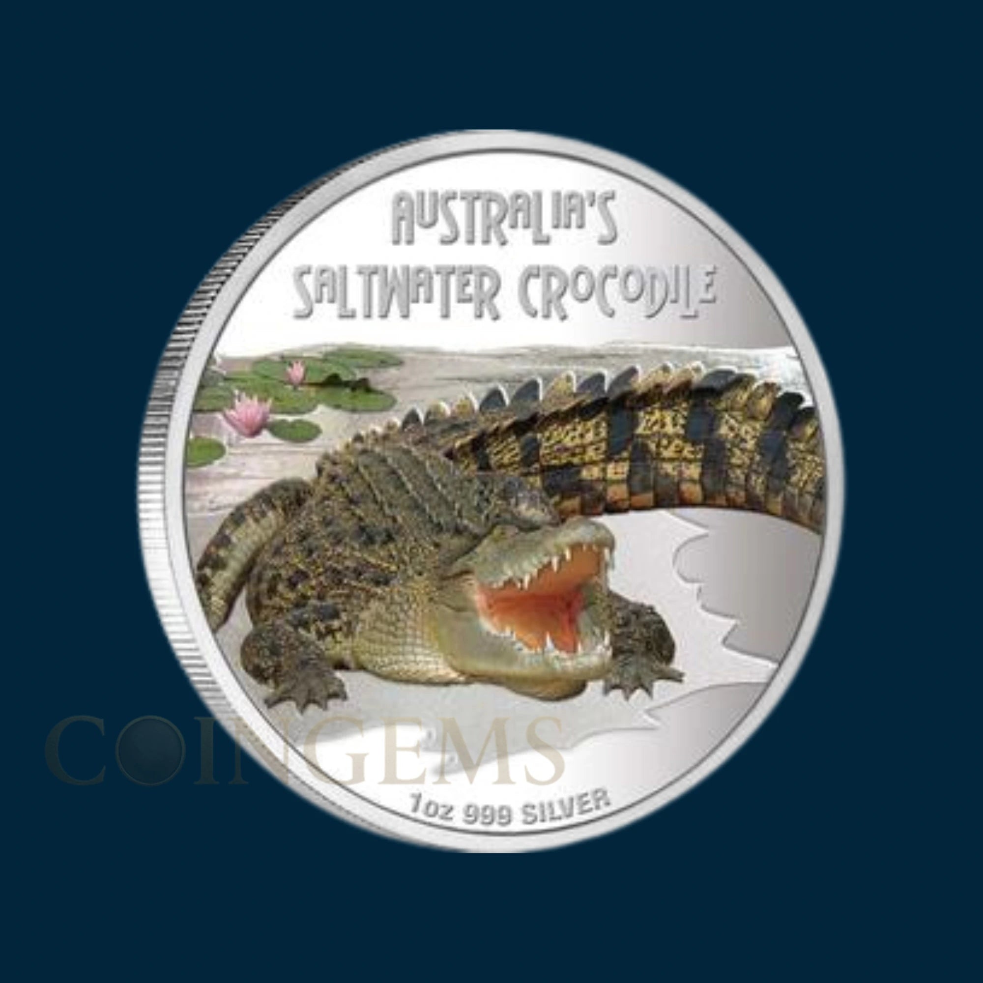2009 Perth Mint D&D Saltwater Crocodile 1oz Silver Coloured Coin