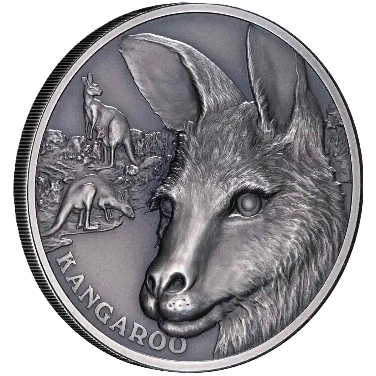 2021 Niue Kangaroo 1oz Silver Antiqued Coin