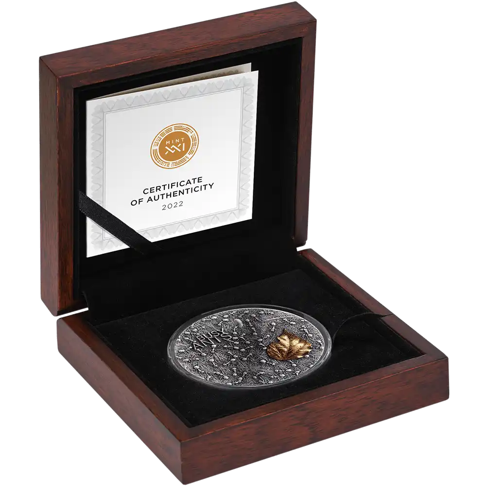 2022 Ghana Busy Ants 2oz Silver Antique Finish Coin