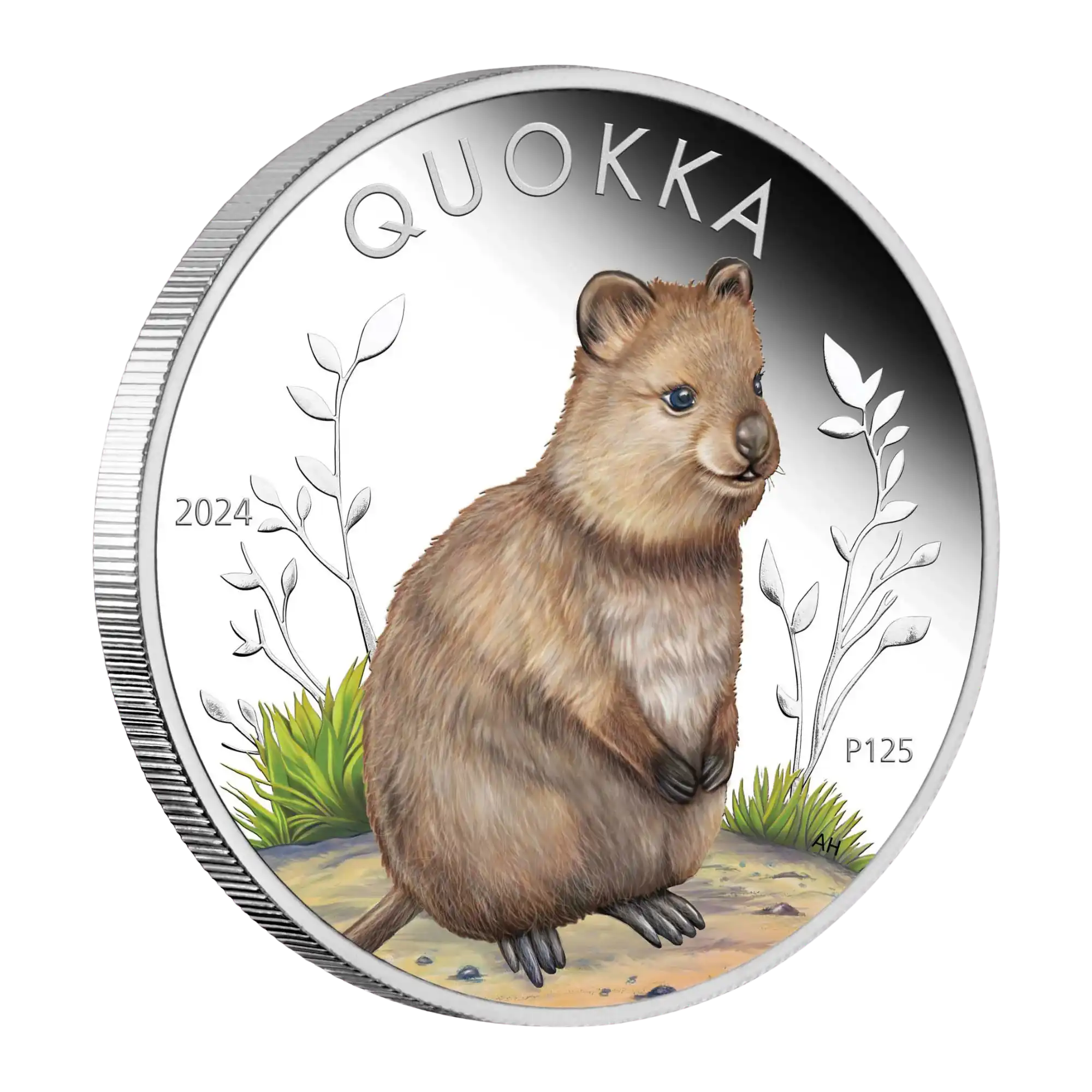 2024 Perth Mint Quokka 1oz Silver Coloured High Relief Proof Coin