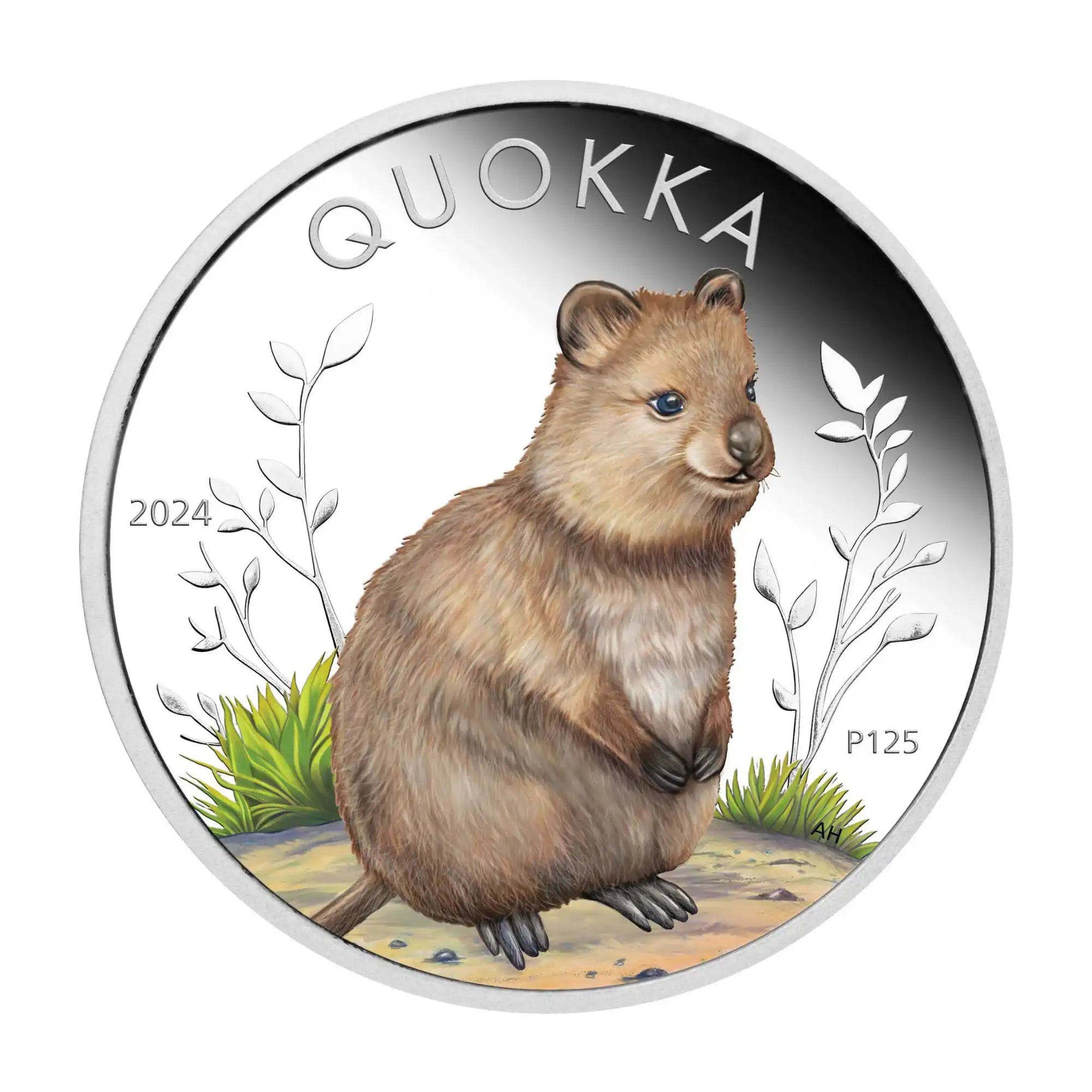 2024 Perth Mint Quokka 1oz Silver Coloured High Relief Proof Coin