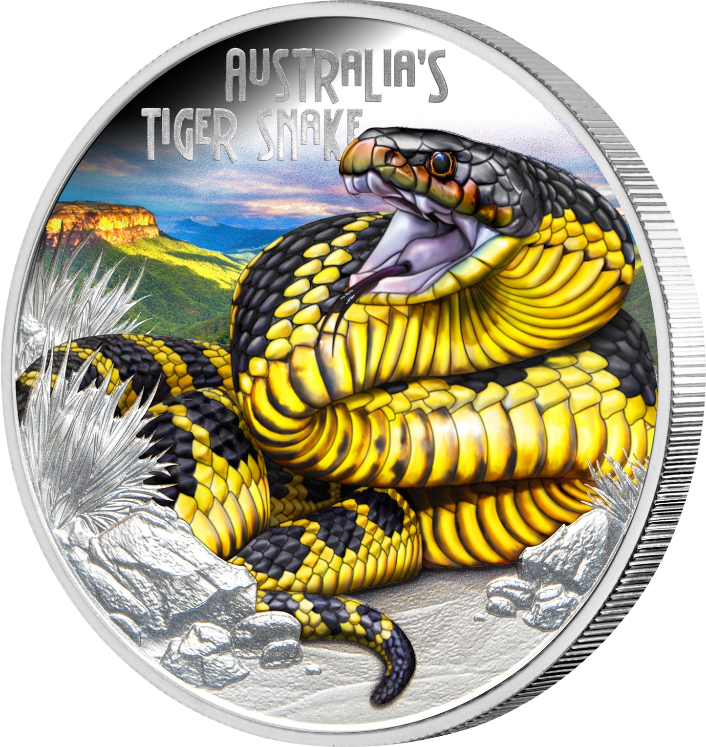 2025 Niue Deadly & Dangerous $1 Tiger Snake 1oz Silver Coloured Proof Coin