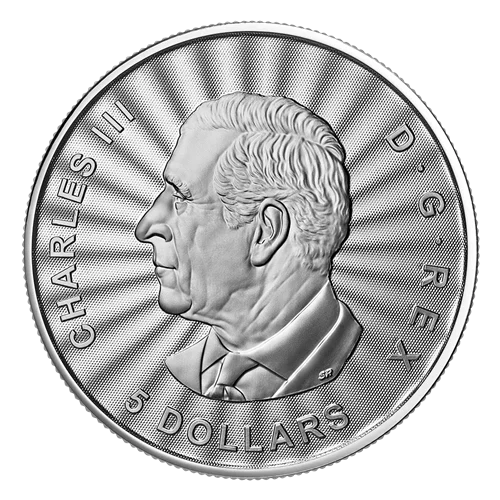🐻‍❄️ 2025 Royal Canadian Mint Majestic Polar Bear 1oz Silver Premium Bullion Coin