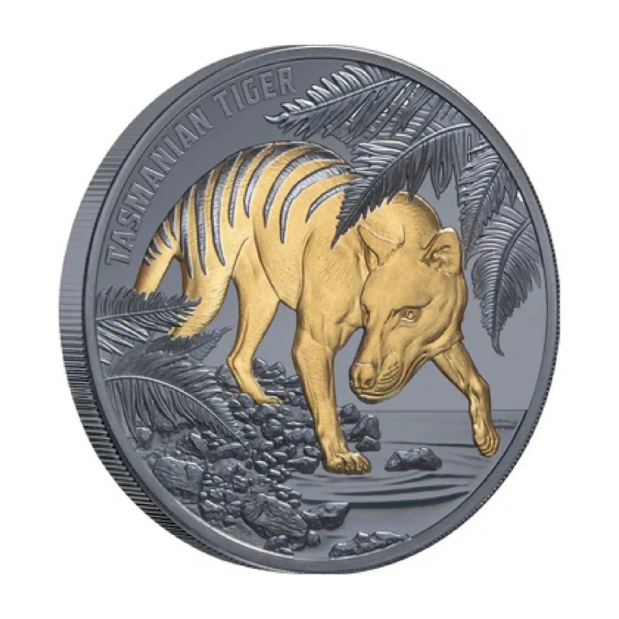2026 Niue Tasmanian Tiger Gold-Plated 1oz Silver Black Proof Coin