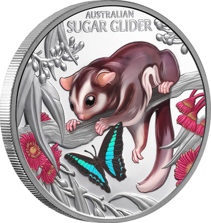 2026 Niue Baby Sugar Glider 1oz Silver  Coloured Proof Coin