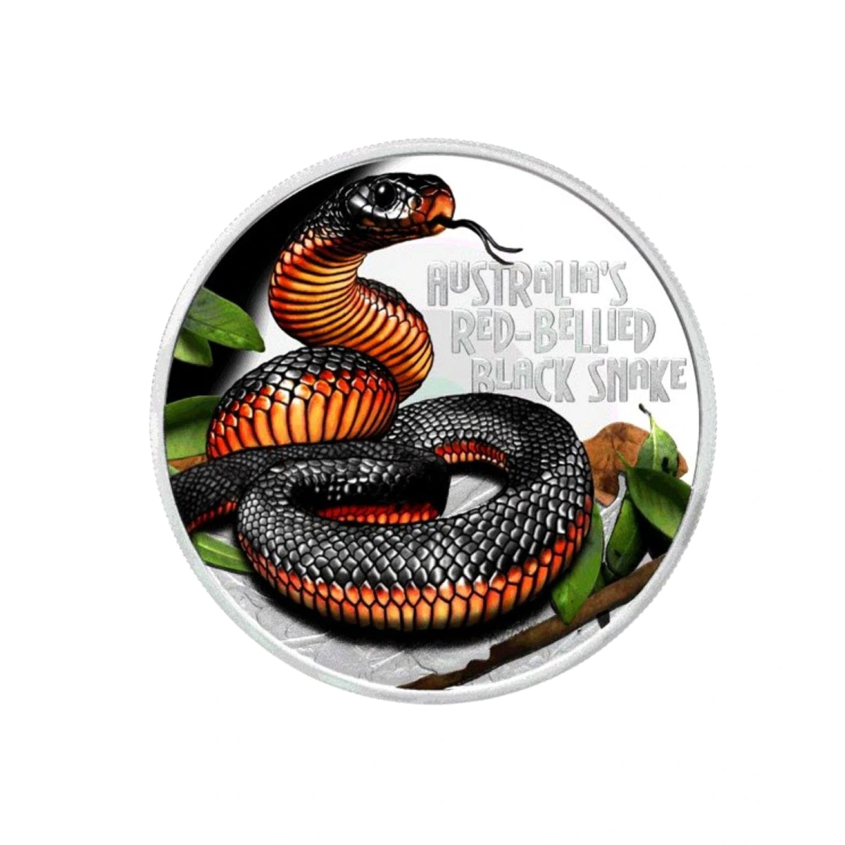 2022 Deadly & Dangerous Red-Bellied Black Snake 1oz Silver Coin