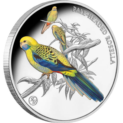 2026 Niue Birds of Australia Pale-headed Rosella 1oz Silver Coloured Proof Coin