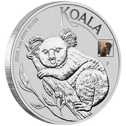 2025 Perth Mint Koala 1oz Silver Coin with Bison Privy Mark