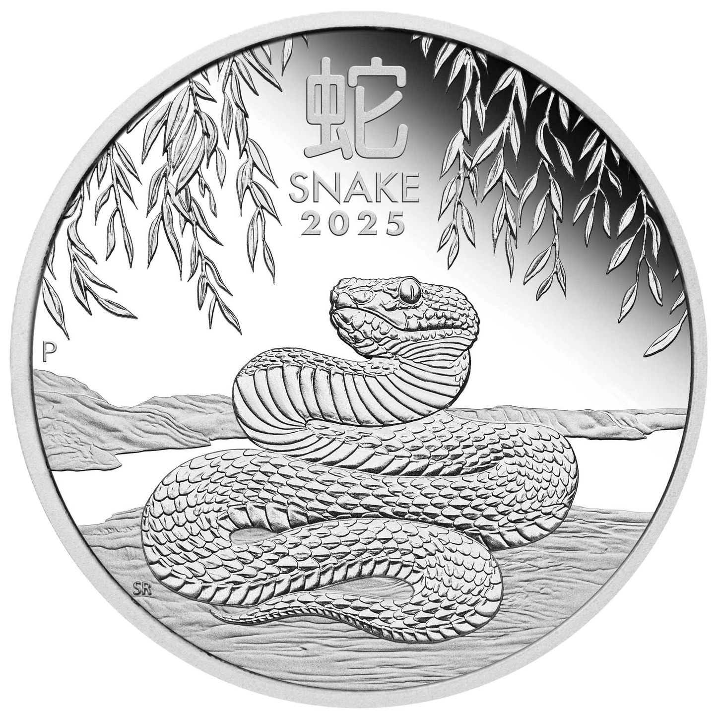 2025 Perth Mint Lunar Snake 1/2oz Silver Proof Coin