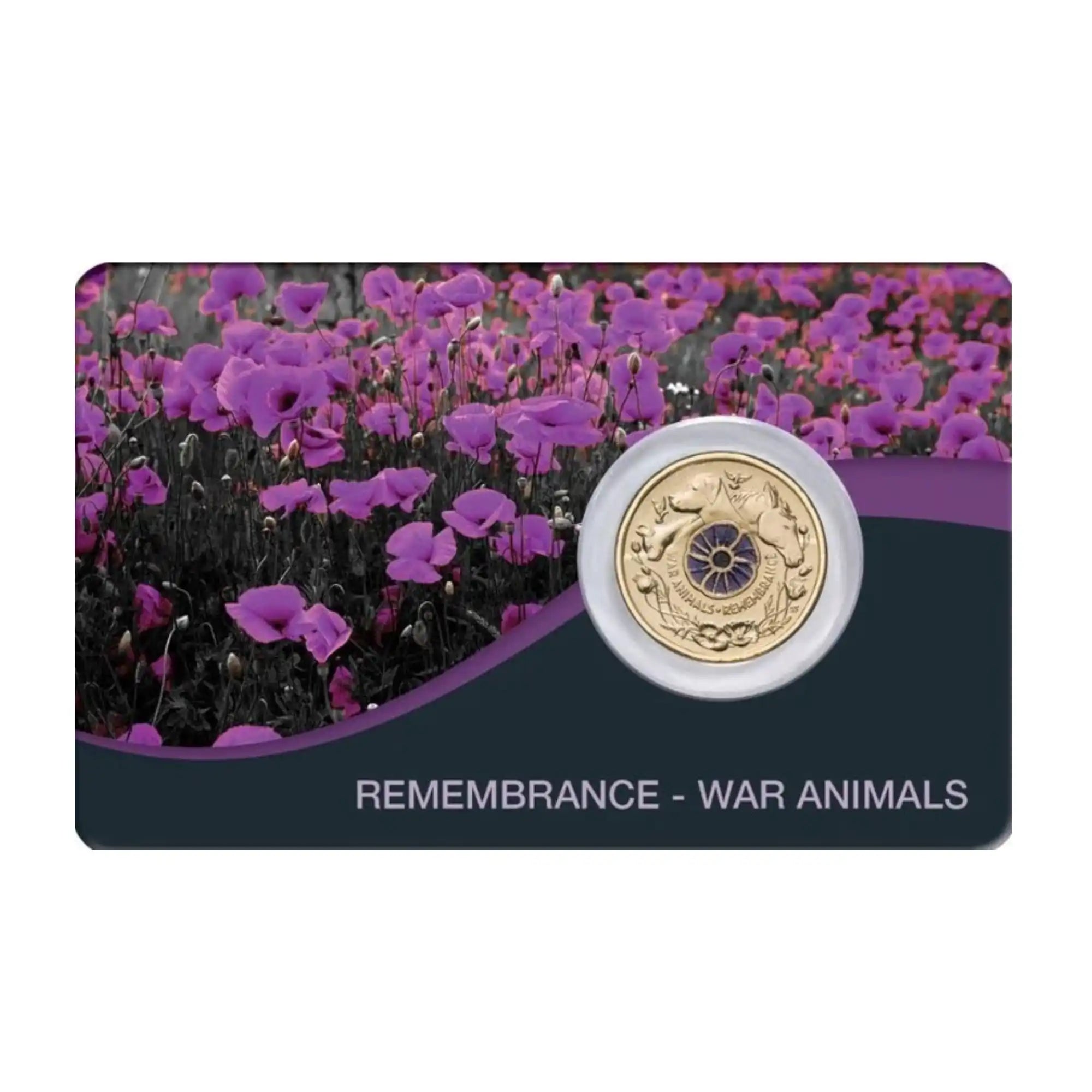 2024 Australia Remembrance Day War Animals$2 Al-Br Colour Uncirculated Coin Pack