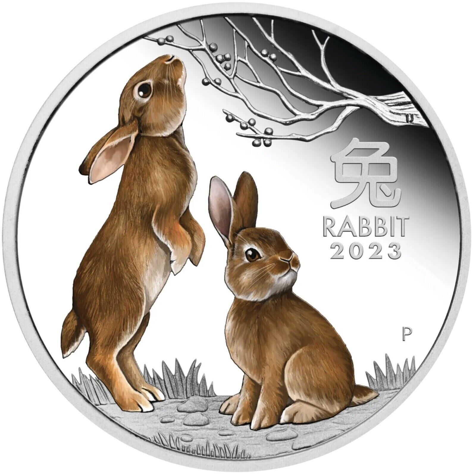 2023 Perth Mint Lunar Rabbit Silver proof 1/2oz coloured coin