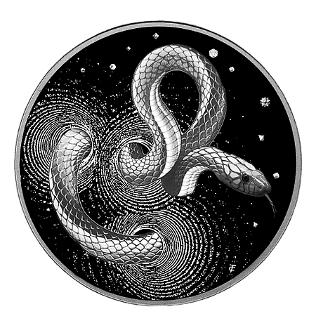 🐍2024 Cameroon Snake 1oz Silver Proof High Relief Coin