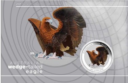 2025 Perth Mint Wedge-tailed Eagle 1oz Silver Coloured Coin in Card