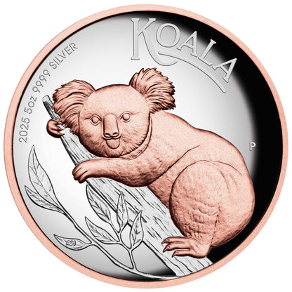 2025 Australian Koala 5oz Silver Proof High Relief Pink Gold Gilded Coin
