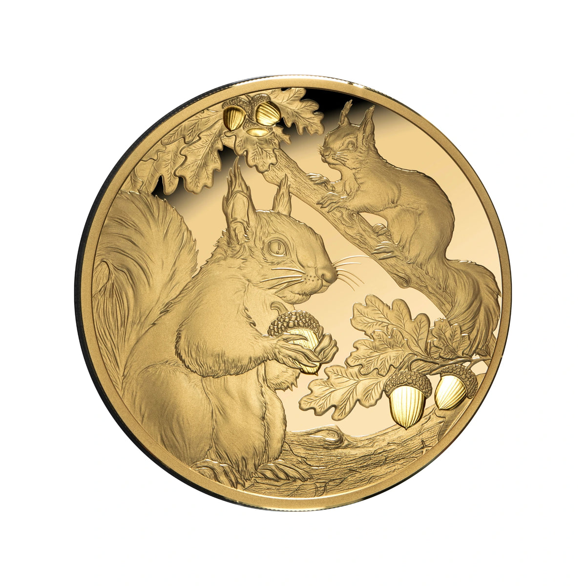 2026 Niue Squirrels 1oz Gold Proof Coin