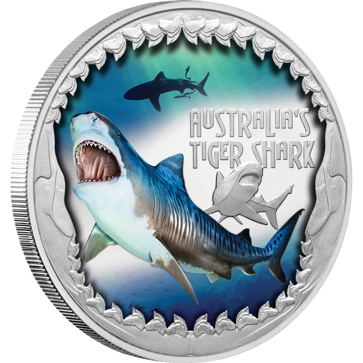 2023 Deadly & Dangerous Tiger Shark 1oz silver proof coloured coin