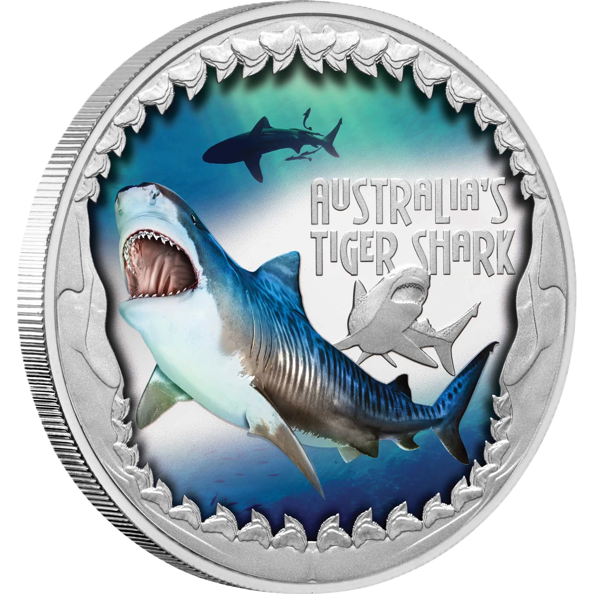2023 Deadly & Dangerous Tiger Shark 1oz silver proof coloured coin